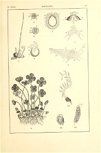 n376_w1150