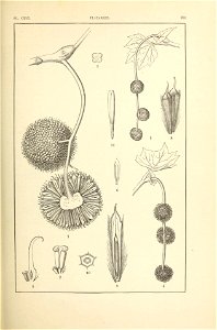 n296_w1150