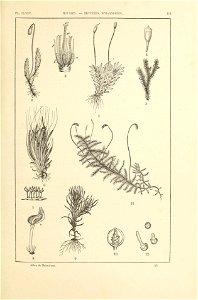 n388_w1150