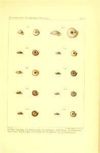 n352_w1150