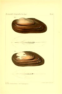 n368_w1150
