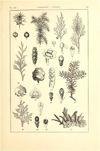 n358_w1150