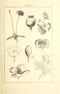 n54_w1150