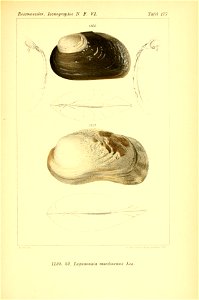 n452_w1150