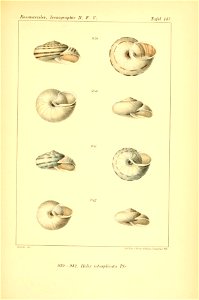 n392_w1150