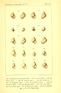 n362_w1150