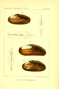 n548_w1150