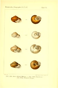 n458_w1150