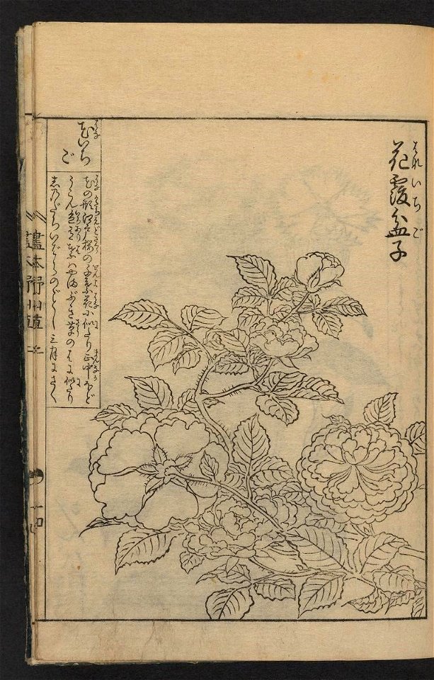 n14_w1150