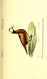 n502_w1150