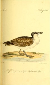 n412_w1150
