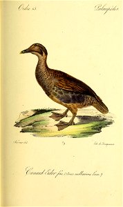 n470_w1150