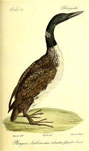 n526_w1150