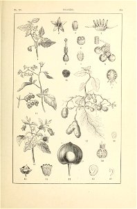 n216_w1150