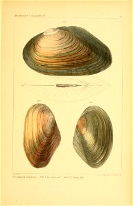 n682_w1150