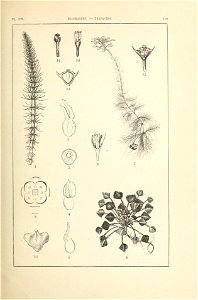 n154_w1150
