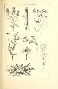 n182_w1150