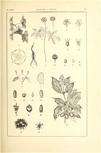 n168_w1150