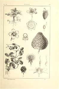 n140_w1150