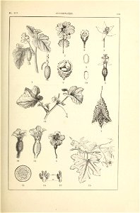 n166_w1150