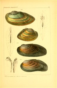 n678_w1150