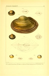n708_w1150