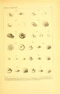 n676_w1150