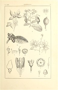 n122_w1150