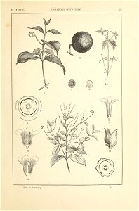 n204_w1150
