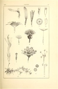 n178_w1150