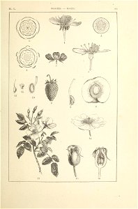 n136_w1150