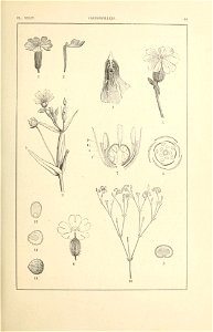 n104_w1150