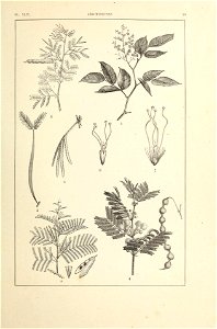 n134_w1150