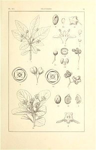 n118_w1150