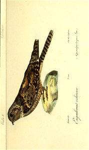 n82_w1150