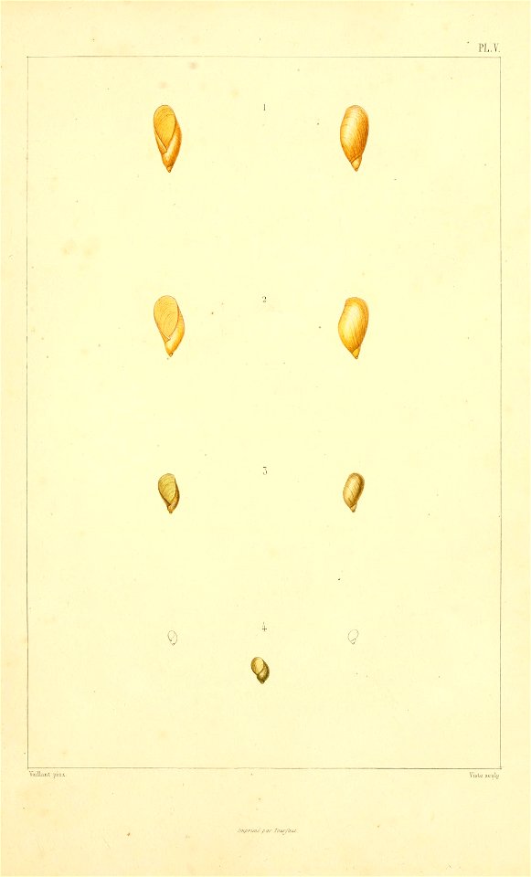 n152_w1150