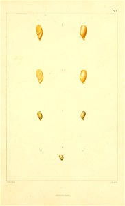 n152_w1150