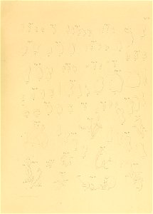 n402_w1150
