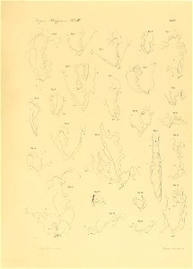 n398_w1150