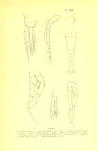 n214_w1150