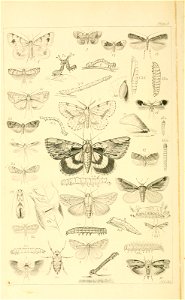 n351_w1150