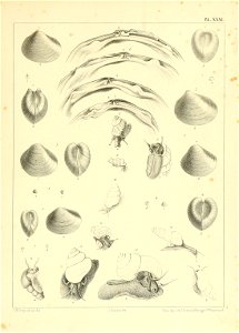 n902_w1150