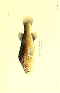 n168_w1150