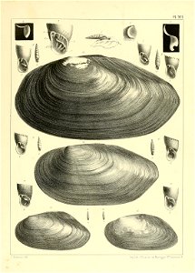 n842_w1150