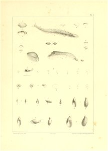 n782_w1150