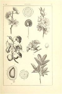 n142_w1150
