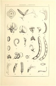 n126_w1150