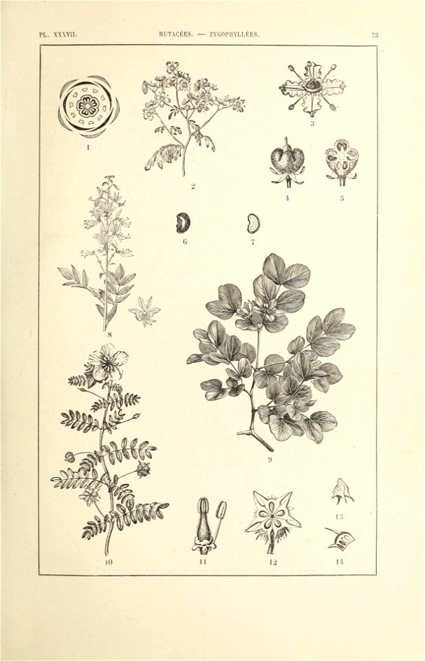 n110_w1150