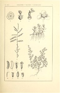 n106_w1150