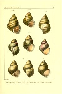 n572_w1150